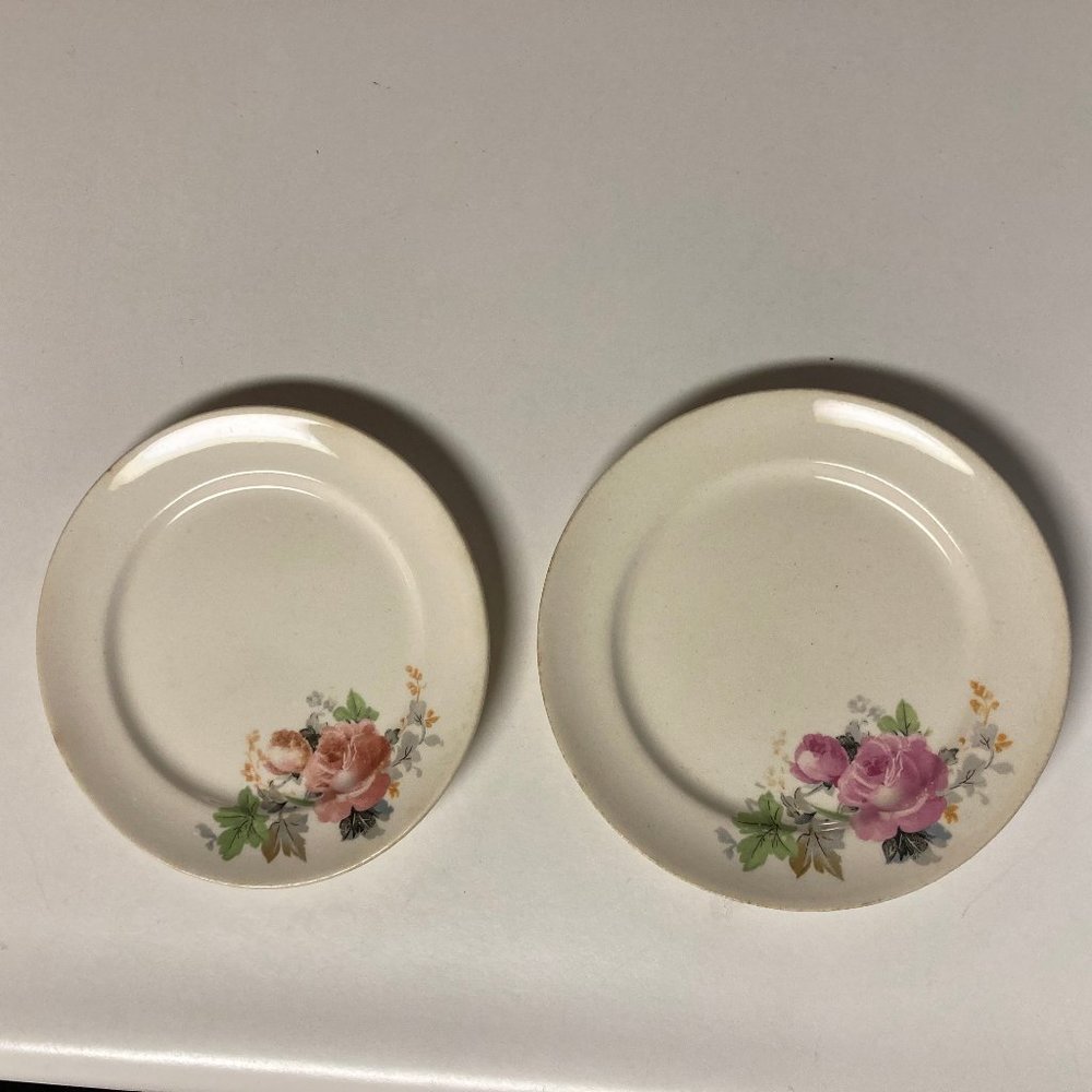 Vintage Salad Plates (2) 6 Inches with Pink & Blue Flowers / Roses